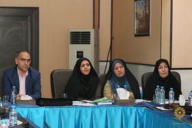 روز دوم مجموعه کارگاه استقرار نظام جامع آماری نهاد
