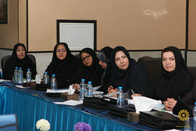 روز دوم مجموعه کارگاه استقرار نظام جامع آماری نهاد