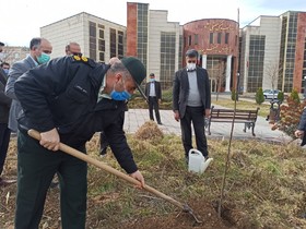 کاشت نهال در راستای پویش درخت یاری در کتابخانه عمومی استان زنجان