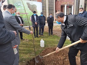 کاشت نهال در راستای پویش درخت یاری در کتابخانه عمومی استان زنجان