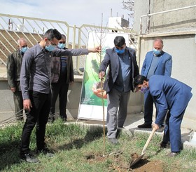 کاشت نهال به نام شهید محمد خدابنده لو در شهرستان خدابنده