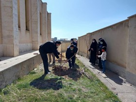 کاشت نهال به نام شهید حاج قاسم سلیمانی در شهرستان ایجرود