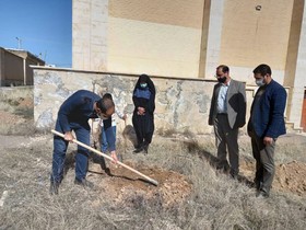 کاشت نهال به نام شهید حاج قاسم سلیمانی در شهرستان ایجرود