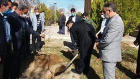 کاشت نهال به نام شهید مرزبان، مهدی ملکی در شهرستان ماهنشان