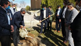 کاشت نهال به نام شهید هسته ای، محسن فخری زاده در شهرستان ماهنشان