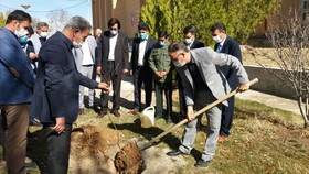 کاشت نهال به نام شهید حاج قاسم سلیمانی در شهرستان ماهنشان