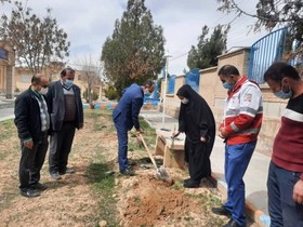 حضور فرماندار شهرستان اردل در کتابخانه شهید باهنر و  اجرای طرح «درخت یاری»