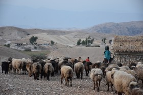 مناطق عشایری استان فارس