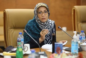 گلستان جعفریان، نویسنده حوزه دفاع مقدس -نشست نقد کتاب «تنها گریه کن»