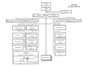 نمودار سازمانی نهاد کتابخانه های عمومی کشور