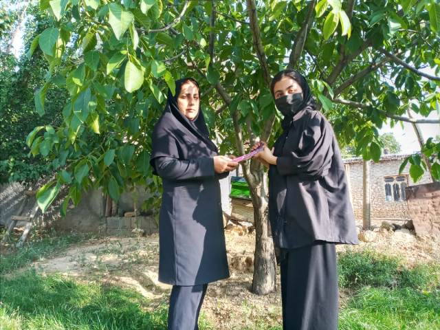 طعم شیرین کتابخوانی در باغهای سیب کاکان