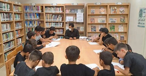 برگزاری کارگاه آموزشی «کارتیمی و مشارکت اجتماعی» در کتابخانه گنجنامه روستای حسام آباد