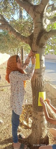 مطالعه جمعی، بچه ها را از لابهلای سطرهای کتاب به جایی در زندگی پرتاب می کند