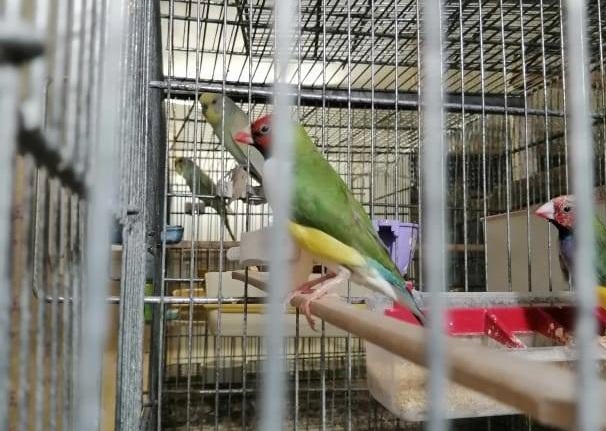 کتابخانه میتواند حلقه وصل کارآفرینان و جویندگان کار باشد