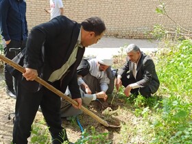 نهال کاری معتمدان شهر و اعضای شورای اسلامی شهر هویزه در حاشیه کتابخانه گردی