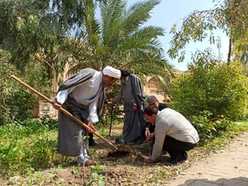 نهال کاری معتمدان شهر و اعضای شورای اسلامی شهر هویزه در حاشیه کتابخانه گردی