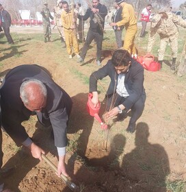 مراسم درختکاری در شهرستان اسلام آباد غرب با همکاری سایر ادارات در کتابخانه عمومی این شهرستان