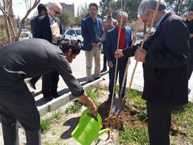 حضور و استقبال اقشار مختلف استان خراسان‌جنوبی در طرح کتابخانه‌گردی