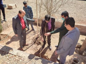 درختکاری و بازدید مسئولین شهرستان راور از کتابخانه فیض کاشانی