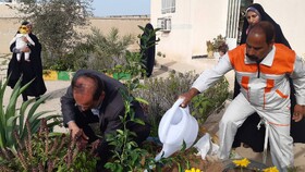 درختکاری در کتابخانه عمومی شهید باهنر روستای آبطویل