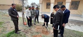 کاشت نهال توسط یعقوب شکوهی، فرماندار محترم شهرستان  در کتابخانه شهید باهنر اردل