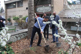 کاشت نهال توسط دبیرکل نهاد به مناسبت ۱۷ اسفند ماه سالروز تأسیس نهاد کتابخانه های عمومی کشور و هفته منابع طبیعی