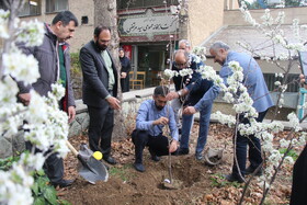 کاشت نهال توسط دبیرکل نهاد به مناسبت ۱۷ اسفند ماه سالروز تأسیس نهاد کتابخانه های عمومی کشور و هفته منابع طبیعی