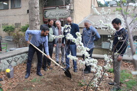 کاشت نهال توسط دبیرکل نهاد به مناسبت ۱۷ اسفند ماه سالروز تأسیس نهاد کتابخانه های عمومی کشور و هفته منابع طبیعی