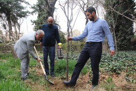 کاشت نهال توسط دبیرکل نهاد به مناسبت ۱۷ اسفند ماه سالروز تأسیس نهاد کتابخانه های عمومی کشور و هفته منابع طبیعی