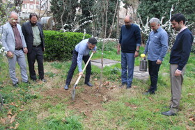 کاشت نهال توسط دبیرکل نهاد به مناسبت ۱۷ اسفند ماه سالروز تأسیس نهاد کتابخانه های عمومی کشور و هفته منابع طبیعی