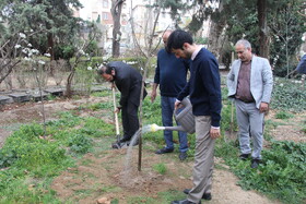 کاشت نهال توسط دبیرکل نهاد به مناسبت ۱۷ اسفند ماه سالروز تأسیس نهاد کتابخانه های عمومی کشور و هفته منابع طبیعی