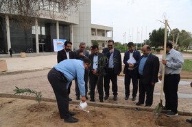 نهالکاری غلامرضا روشان، مدیرکل زندان های خوزستان در کتابخانه مرکزی خوزستان