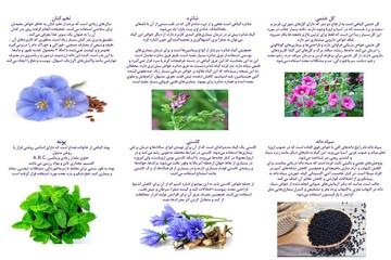 نمایشگاه کسب و کارهای کوچک در کتابخانه عمومی سید طاهر هاشمی روانسر