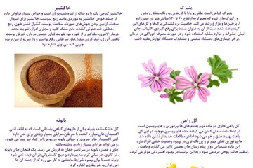 نمایشگاه کسب و کارهای کوچک در کتابخانه عمومی سید طاهر هاشمی روانسر