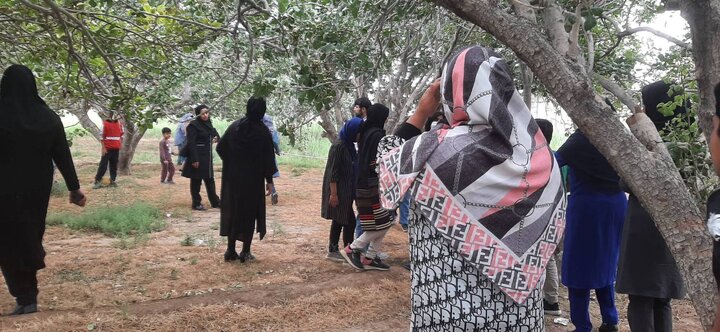 کتابخانه استاد کامبوزیا زاهدان میزبان جشن روز دختر شد