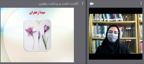 اجرای طرح «مشاغل کوچک شهر من» در نی‌ریز 