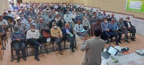 اجرای طرح «مشاغل کوچک شهر من» در نیریز