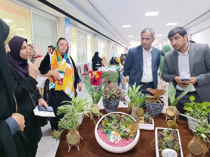 کارگاه آموزشی آشنایی با مفاهیم کارآفرینی ویژه بانوان برگزار شد