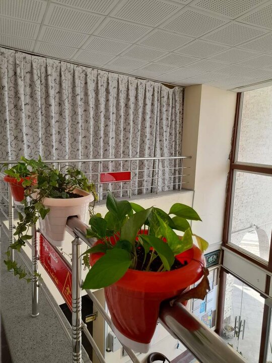 پویش «کتابخانه سبز من» راه اندازی شد