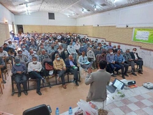 با ایجاد کسبوکارهای کوچک میتوان به سودآوری و رونق تجارت دست یافت