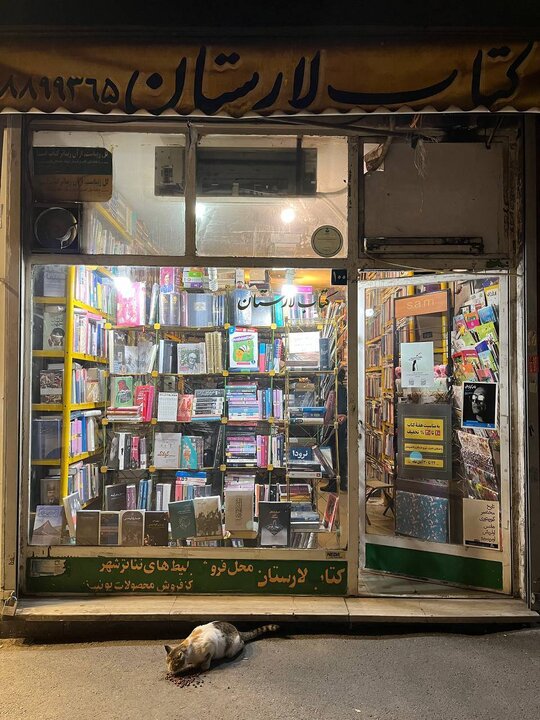 بازدید دبیرکل نهاد کتابخانه های عمومی کشور از کتابفروشی های به نشر، کتابستان و لارستان