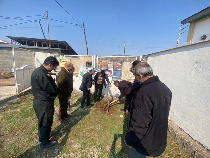 کتابخانههای مازندران با اجرای طرح «کاشت نهال» به طبیعت احترام گذاشتند