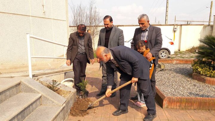 کتابخانههای مازندران با اجرای طرح «کاشت نهال» به طبیعت احترام گذاشتند