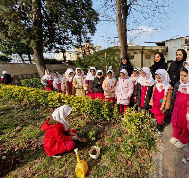 کتابخانههای مازندران با اجرای طرح «کاشت نهال» به طبیعت احترام گذاشتند