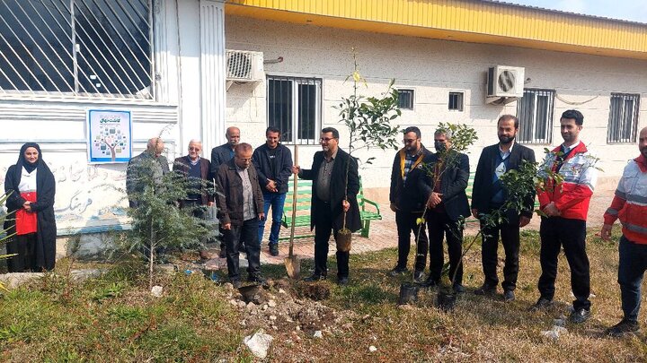 کتابخانههای مازندران با اجرای طرح «کاشت نهال» به طبیعت احترام گذاشتند