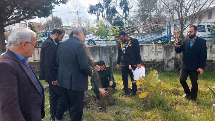 کتابخانههای مازندران با اجرای طرح «کاشت نهال» به طبیعت احترام گذاشتند