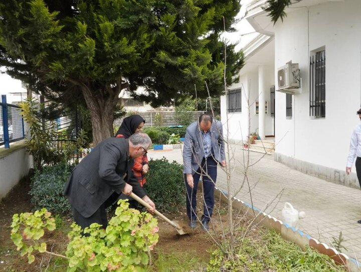 کتابخانههای مازندران با اجرای طرح «کاشت نهال» به طبیعت احترام گذاشتند