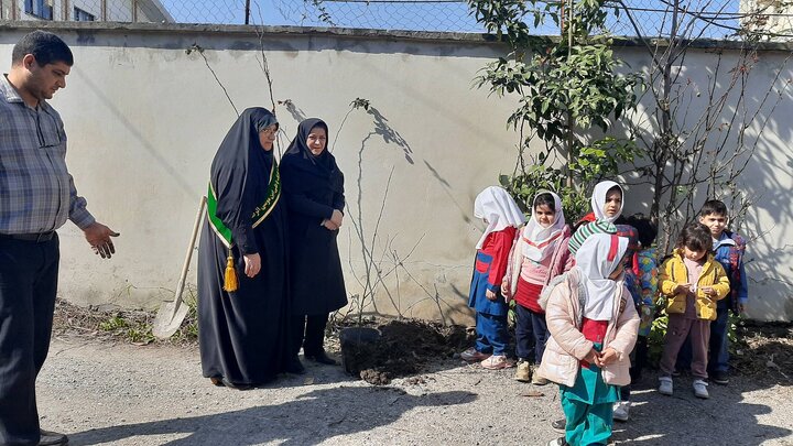 کتابخانههای مازندران با اجرای طرح «کاشت نهال» به طبیعت احترام گذاشتند