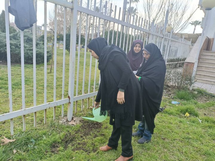 کتابخانههای مازندران با اجرای طرح «کاشت نهال» به طبیعت احترام گذاشتند