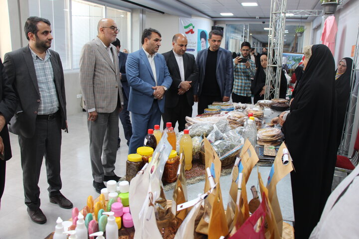 نقشآفرینی کتابخانههای عمومی به عنوان حلقه اطلاعاتی در زیستبوم کسبوکار